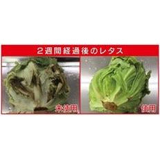 日本製,生果、蔬菜保鮮器