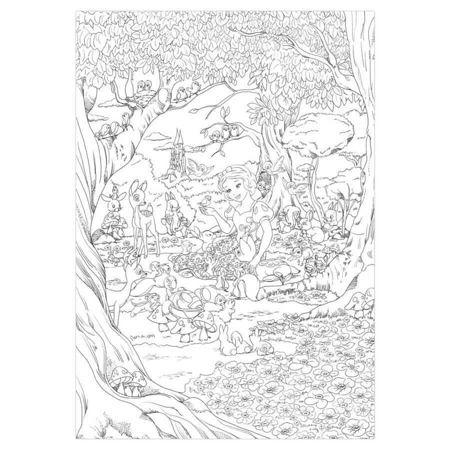 日本製，Snow white 圖書填色冊