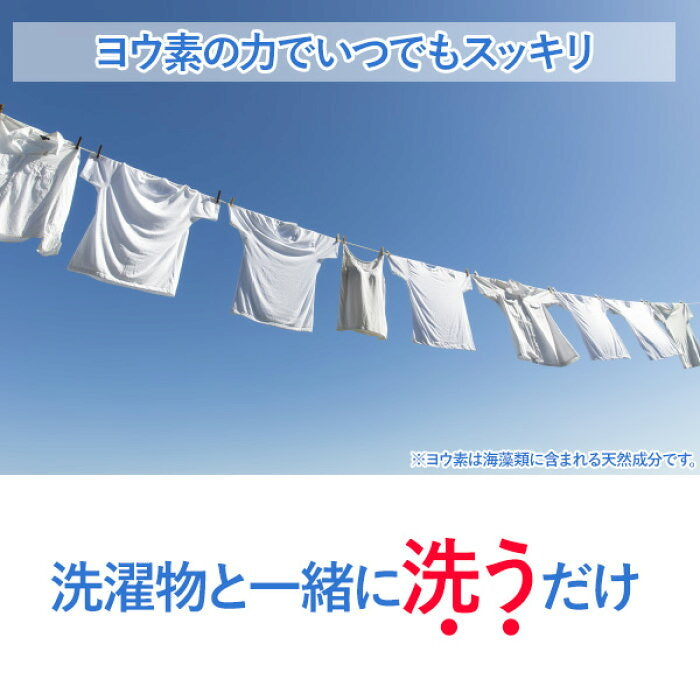 日本製，Big Bio 洗衣DE除味除菌劑